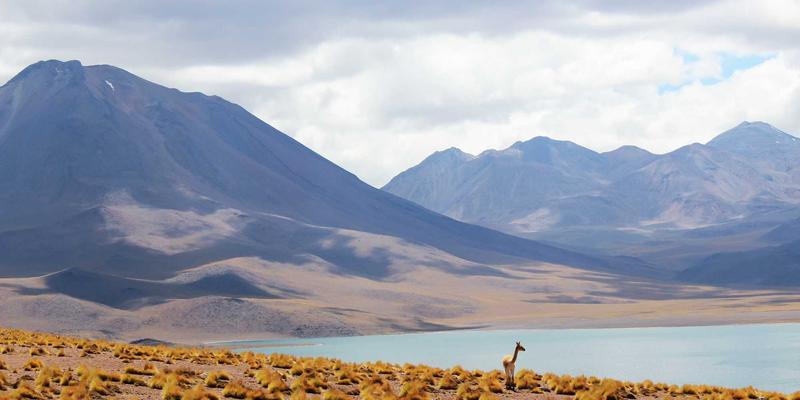 从工业安全到特殊教育：防抓咬袖套如何用材料创新，在防护与亲和力间找到完美平衡