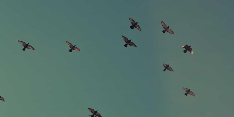 工业安全必修课：凯夫拉防切割袖套的材质等级与ANSI标准全解析