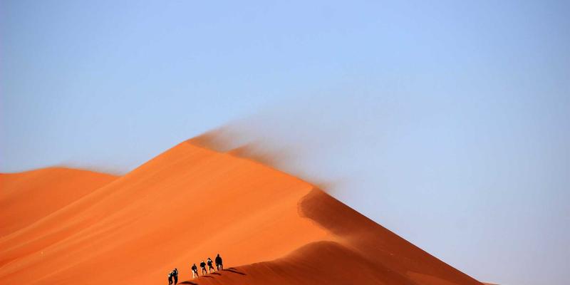 马术运动防护袖套：从防摩擦到关节保护，盛装舞步与障碍赛骑手的隐形铠甲